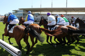 Complete Guide to Parivrai, Pari Vrai, Parivrai VIP, Parivrai Couplé Gagnant, and Parivrai Turf